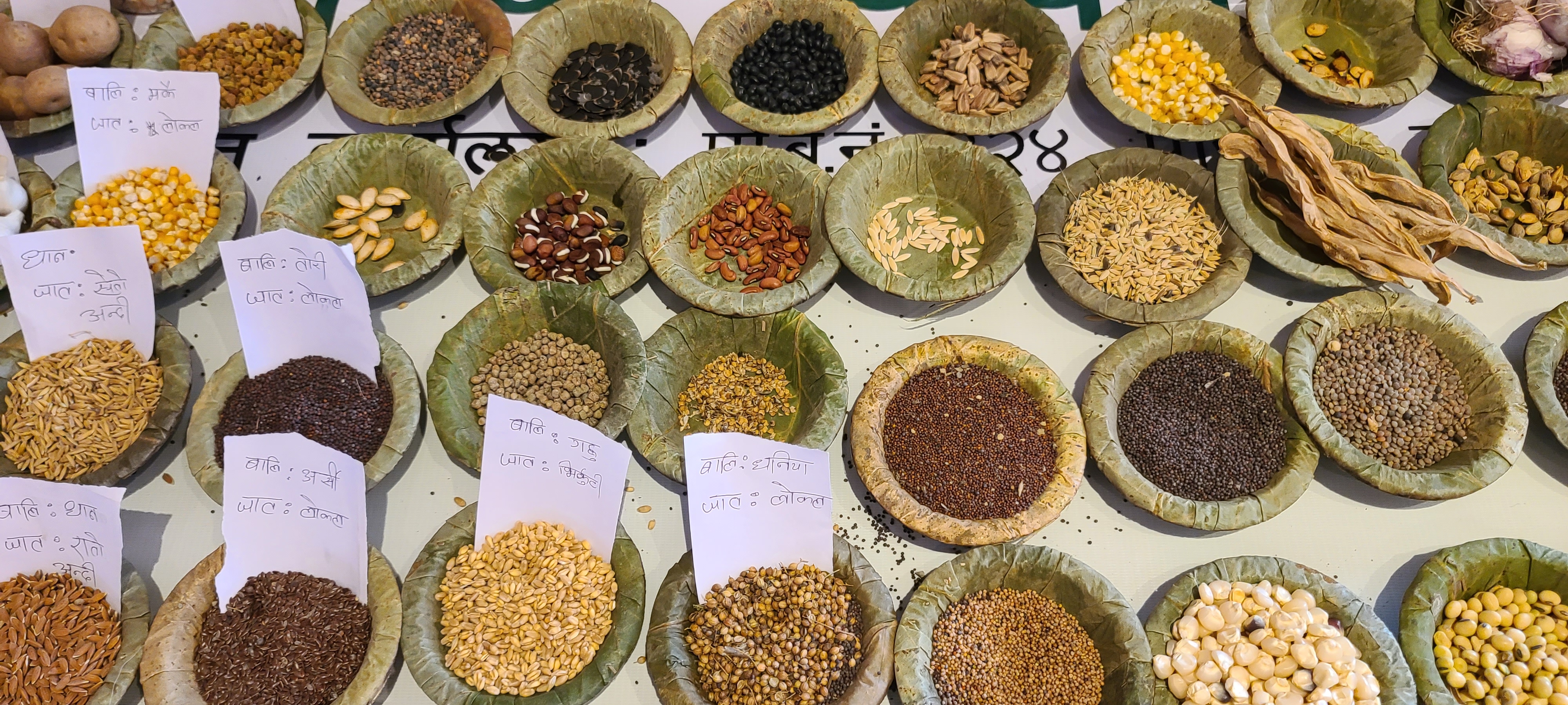 Nepal terraced fields